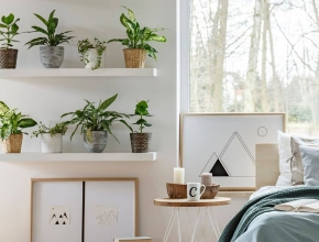 ​​​​​​​Nguyên tắc trồng cây xanh trong phòng ngủ
