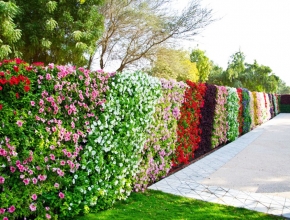 Thiết kế thi công tường hoa đẹp kiến trúc xanh bền vững 
