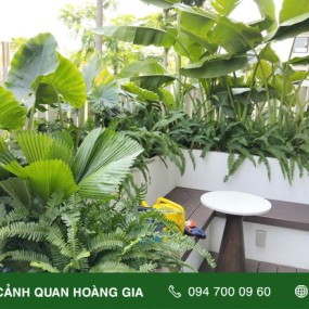 CHĂM SÓC CÂY XANH TẠI CĂN NHÀ MẪU THE GLOBAL CITY  ĐỖ XUÂN HỢP
