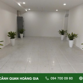 CUNG CẤP & THIẾT KẾ CÂY XANH VĂN PHÒNG CÔNG TY THỜI TRANG SÀI GÒN XUÂN HÒA