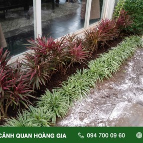 THI CÔNG CẢI TẠO CẢNH QUAN - CÔNG TY TADIDUOR THỦ ĐỨC