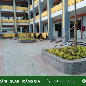 THI CÔNG TRỒNG CÂY XANH CHO TRƯỜNG TIỂU HỌC TÂN THỚI NHÌ 3, HÓC MÔN