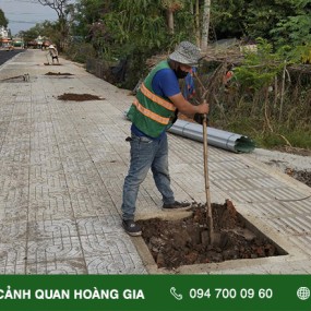 THI CÔNG TRỒNG CÂY CÔNG TRÌNH - TRUNG TÂM VĂN HÓA THỂ THAO HUYỆN VĨNH CỬU ĐỒNG NAI