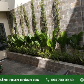 CUNG CẤP, THI CỒNG TRỒNG CÂY XANH - NHÀ CHỊ VÂN QUẬN 1