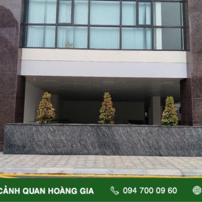CUNG CẤP VÀ THI CÔNG TRỒNG CÂY HỒNG LỘC – CÔNG TY SÔNG HỒNG