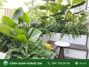CHĂM SÓC CÂY XANH TẠI CĂN NHÀ MẪU THE GLOBAL CITY  ĐỖ XUÂN HỢP