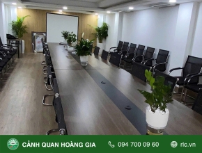 SETUP CÂY XANH TẠI VĂN PHÒNG CÔNG TY KỸ THUẬT AN TOÀN MÔI TRƯỜNG HOÀ PHÁT