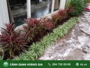 THI CÔNG CẢI TẠO CẢNH QUAN - CÔNG TY TADIDUOR THỦ ĐỨC