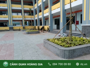 THI CÔNG TRỒNG CÂY XANH CHO TRƯỜNG TIỂU HỌC TÂN THỚI NHÌ 3, HÓC MÔN