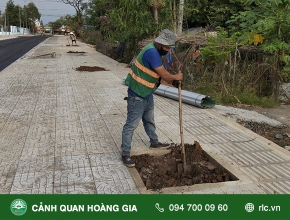 THI CÔNG TRỒNG CÂY CÔNG TRÌNH - TRUNG TÂM VĂN HÓA THỂ THAO HUYỆN VĨNH CỬU ĐỒNG NAI