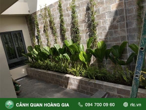 CUNG CẤP, THI CỒNG TRỒNG CÂY XANH - NHÀ CHỊ VÂN QUẬN 1