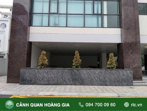 CUNG CẤP VÀ THI CÔNG TRỒNG CÂY HỒNG LỘC – CÔNG TY SÔNG HỒNG