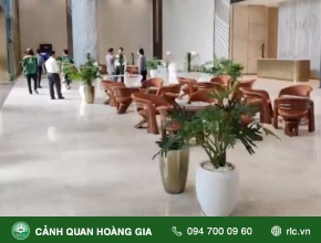 CUNG CẤP CHẬU CÂY TẠI TRUNG TÂM TIỆC CƯỚI THISKYHALL