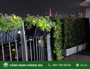 THI CÔNG TƯỜNG XANH NHÀ ANH LỰC Ở ĐẢO KIM CƯƠNG QUẬN 2