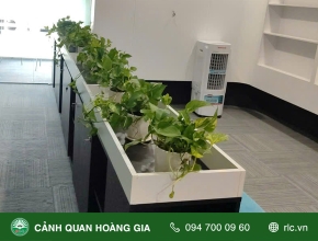 BỐ TRÍ CÂY XANH TẠI VĂN PHÒNG CÔNG TY AN NINH MẠNG QUỐC GIA VIỆT NAM